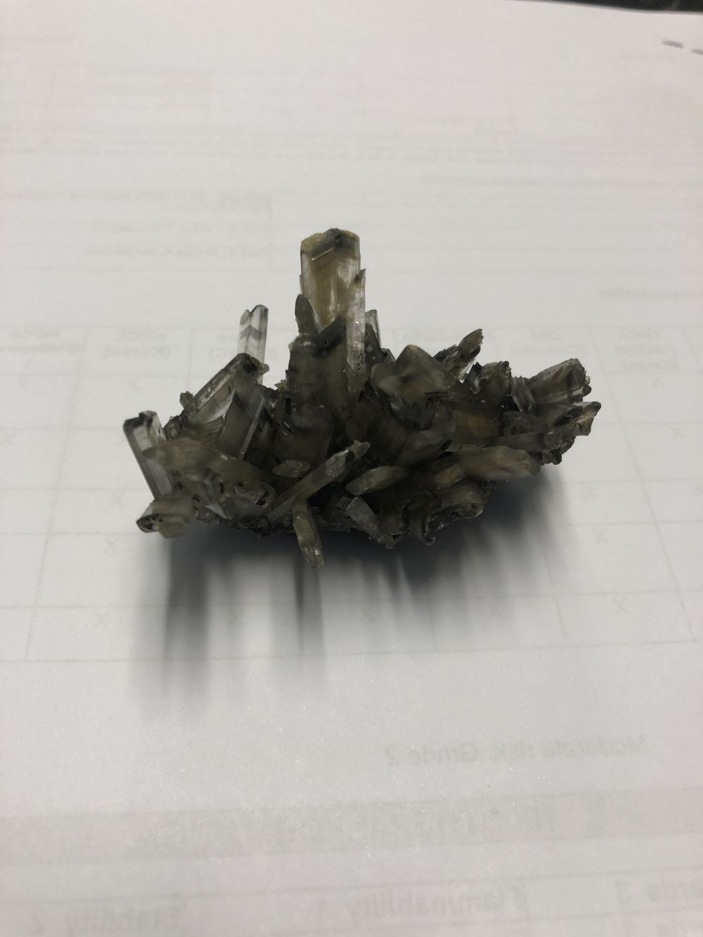 Gypsum scale crystals — one of the common scales we identify and help mitigate.