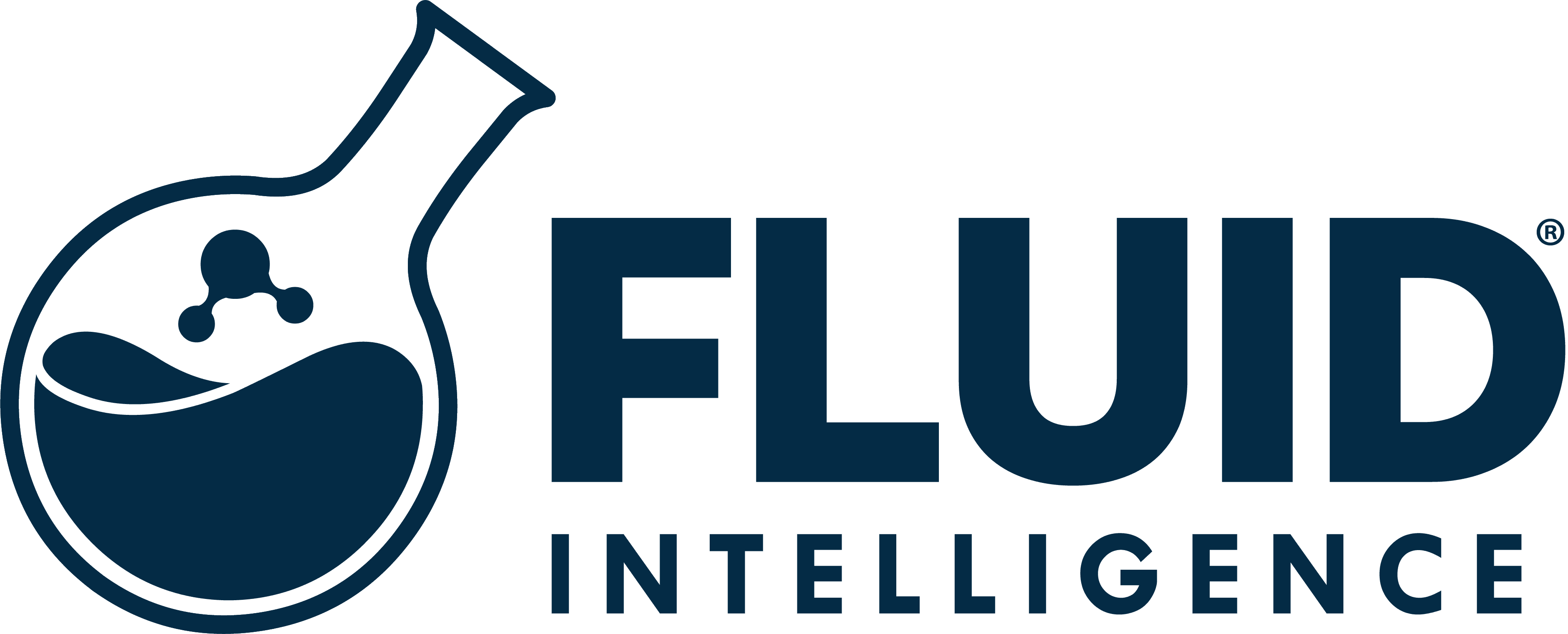 Fluid Intelligence
